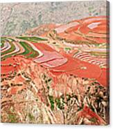 The Redlands, Yunnan, China Canvas Print