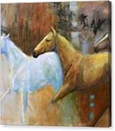 The Reflection Of The White Horse Canvas Print