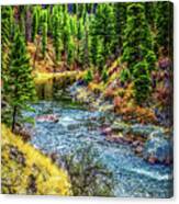 The River Canvas Print