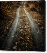 The Road Canvas Print