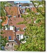 The Rooftops Of Leiden Canvas Print