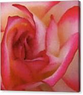 The Rose Canvas Print
