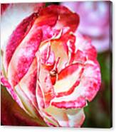 The Rose Canvas Print