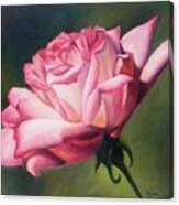 The Rose Canvas Print