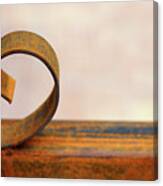 The Rusted Curl Colored Version Canvas Print
