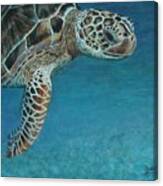 The Giant Sea Turtle Canvas Print