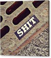 The Shit You See In New York City Canvas Print
