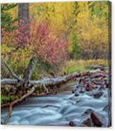 The Sierra Autumn Canvas Print
