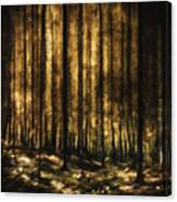 The Silent Woods Canvas Print