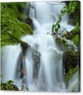 The Slithering Mist Canvas Print