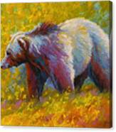 The Wandering One - Grizzly Bear Canvas Print