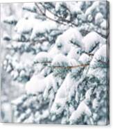 The Weight Of Winter Canvas Print