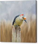 The Woodpecker Canvas Print