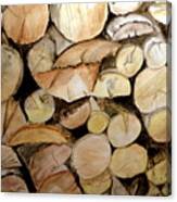 The Woodpile Canvas Print