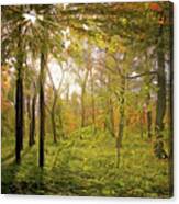 The Woods Canvas Print