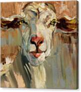 Thinking Goat Canvas Print