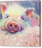 This Little Piggy Canvas Print