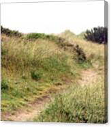 This Way To The Beach Canvas Print