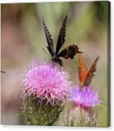 Thistle Pollinators - Large And Small Canvas Print
