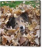 Those Eyes Canvas Print