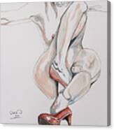 Those Red Shoes Canvas Print