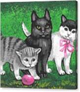 Three Easter Kitens Canvas Print