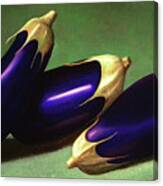 Three Eggplants Canvas Print