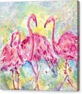 Three Flamingos Canvas Print