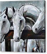 Three Greys Canvas Print