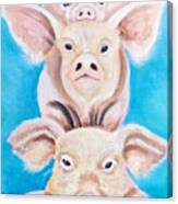 Three Little Pigs Canvas Print