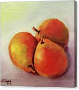 Three Pears Canvas Print