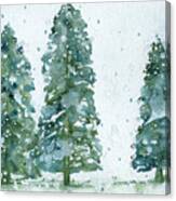 Three Snowy Spruce Trees Canvas Print