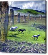 Through The Standing Stones Canvas Print