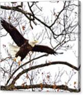 Through The Trees Canvas Print