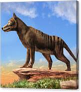 Thylacine Canvas Print