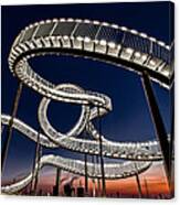 Tiger And Turtle At Dawn Canvas Print