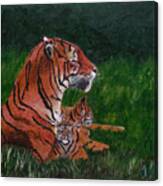 Tiger Family Canvas Print