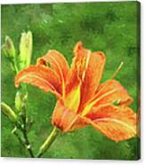 Tiger Lily Canvas Print