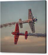 Tiger Yak 55 Canvas Print