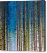Timber Glow Canvas Print