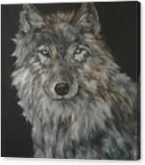 Timber Wolf Canvas Print