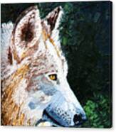 Timberwolf Canvas Print