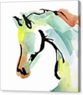 Tinted Horse Head 2 Canvas Print