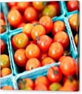 Tiny Little Red Tomatoes Canvas Print