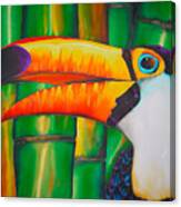 Toco Toucan Canvas Print