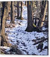 Tom Paul Trail Winter Canvas Print