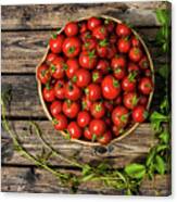 Tomatoes Rustic Canvas Print