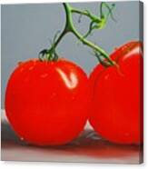 Tomatoes With Stems Canvas Print