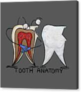 Tooth Anatomy T-shirt Canvas Print