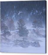Top Of Boulder Canyon Winter Snow Canvas Print